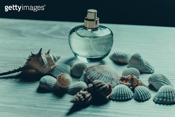 bottle of perfume and seashells 이미지 (996273116) - 게티이미지뱅크
