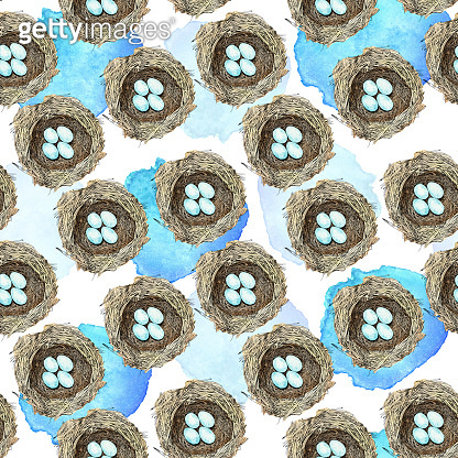 Bird Nest with Eggs Pen and Ink Vector Seamless Pattern 이미지 (972344028 ...