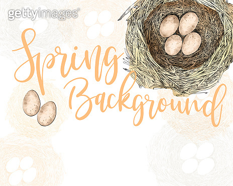 Bird Nest Vector Design Template with Copy Space 이미지 (974573874) - 게티이미지뱅크