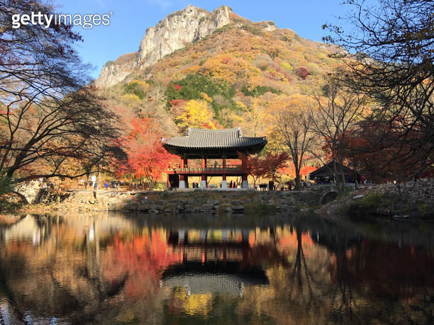 Autumn in Korea 이미지 (949707826) - 게티이미지뱅크