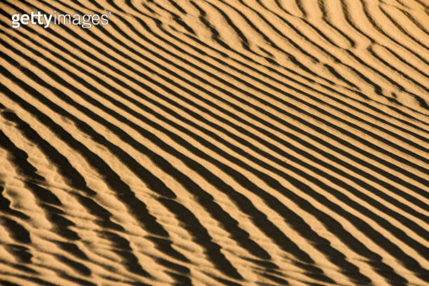 Abstract Textures patterns in nature 이미지 (965743916) - 게티이미지뱅크