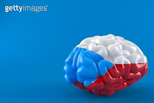 Brain with czech flag (1055373754) - 게티이미지뱅크