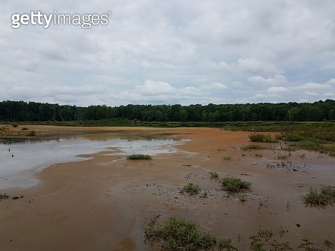 wetland or swamp with red algae bloom and water 이미지 (1168615811) - 게티이미지뱅크