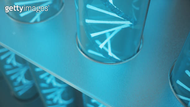 Double helical structure of DNA inside the test tube, DNA molecule, RNA ...