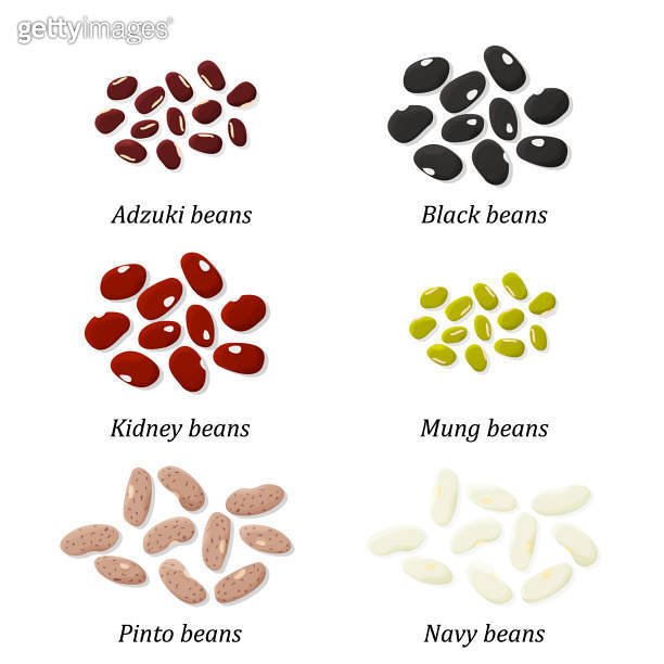 Bean types set. Adzuki, Black bean, Kidney bean, Mung bean, Pinto bean