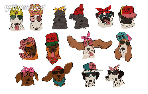 Collection Of Dog Couple Portraits 이미지 (1150073815) - 게티이미지뱅크