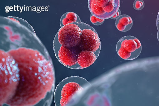 3D illustration egg cells embryo. Embryo cells with red nucleuses in ...