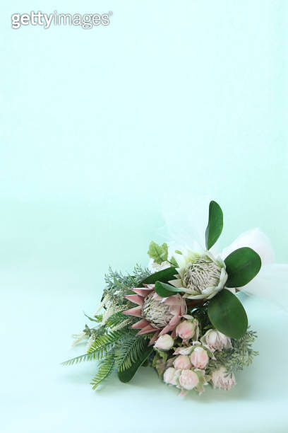 bouquet of Protea and Blushing Bride 이미지 (1185771085) - 게티이미지뱅크