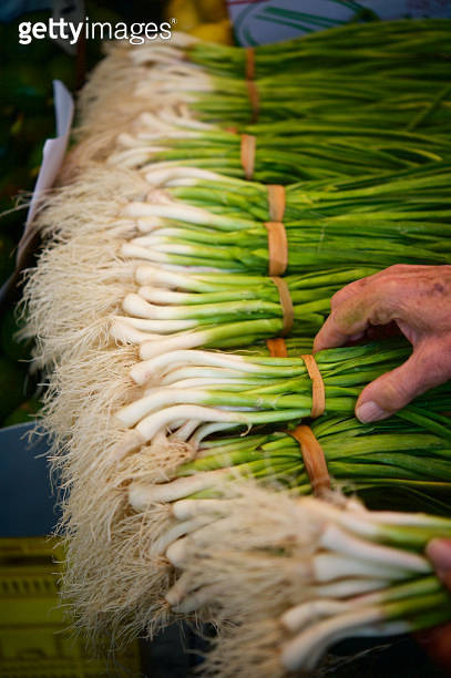 Fresh Organic Spring Onions bundled together for sale 이미지 (1095870070 ...