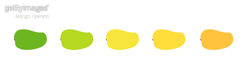 Mango Rip Chart Mango ripeness stages chart. Colour gradation set fruit plant. Ripening ...
