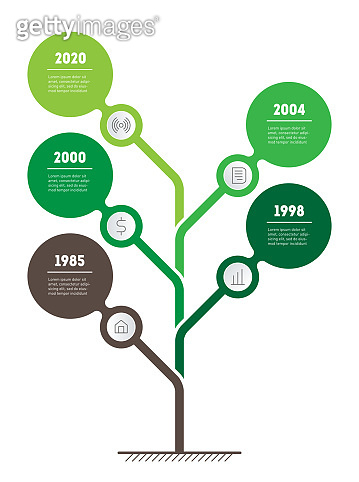 Vertical Timeline infographics with 5 options. The tree of development ...