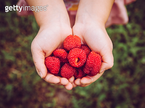 Rubus illecebrosus also known as balloon berry and strawberry raspberry ...