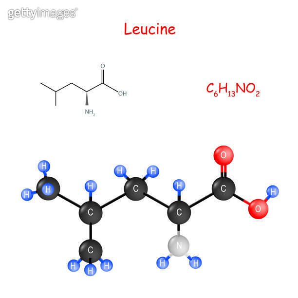 Leucine. flavor enhancer. Chemical structural formula and model of
