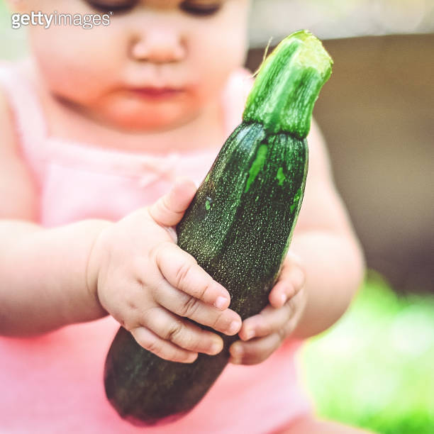 Zucchini baby 이미지 (1142345767) 게티이미지뱅크