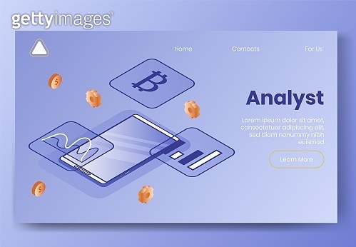 Digital isometric design concept set-internet analyst app 3d icons ...