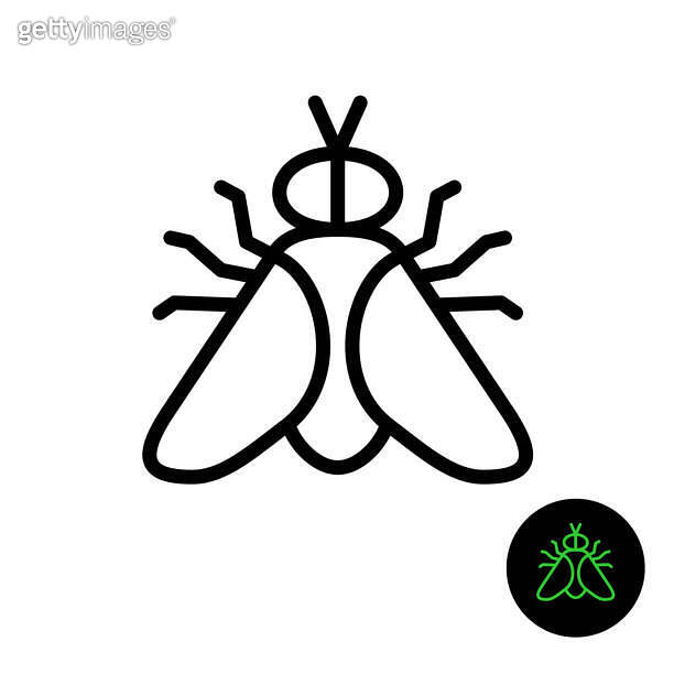 Fly simple line icon. Outline style gadfly symbol. Adjustable stroke ...