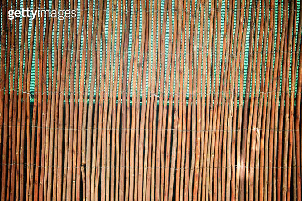 Wall of dry reeds 이미지 (1223805766) - 게티이미지뱅크