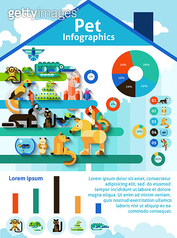 pet infographics (1201087905) - 게티이미지뱅크