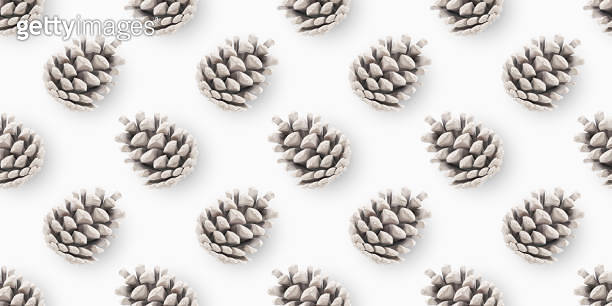Timed Cones Pattern Seamless Pattern with Cones. Pine Cones is colored White. Objects ...