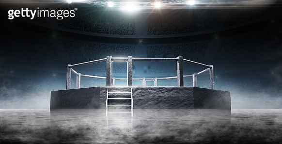 3D rendering octagon. Bottom view. Sport. Fighting Championship. Fight ...