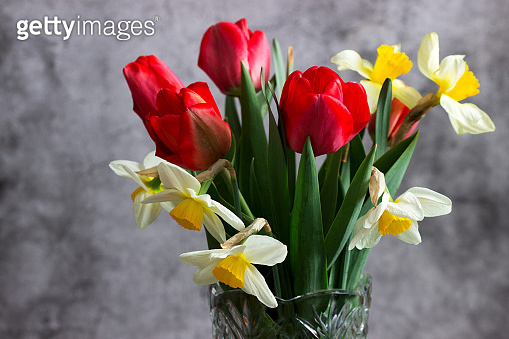 Bouquet of tulips and daffodils in a crystal vase on a concrete wall ...