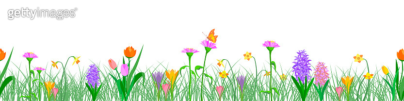 Vector stock set of spring multi-colored flowers seamless border 이미지 ...