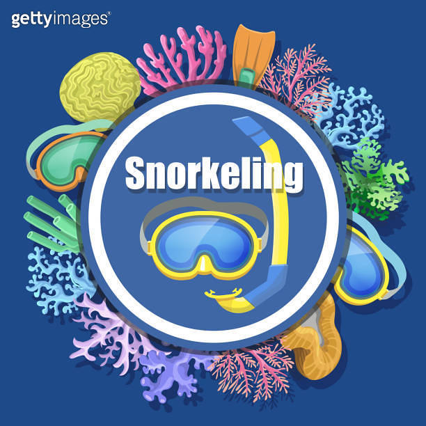 Snorkel, flippers, scuba diving mask and tube. Snorkeling diving