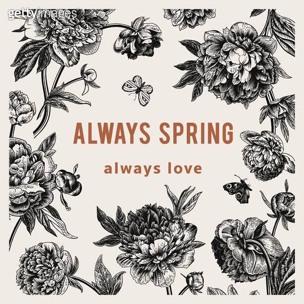 Peonies. Always spring 이미지 (1197124804) - 게티이미지뱅크