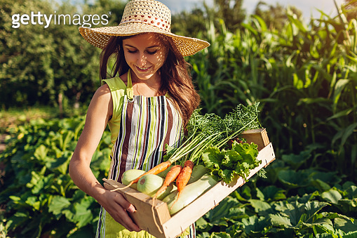 Young farmer holding wooden box with fresh vegetables. Woman gathered ...
