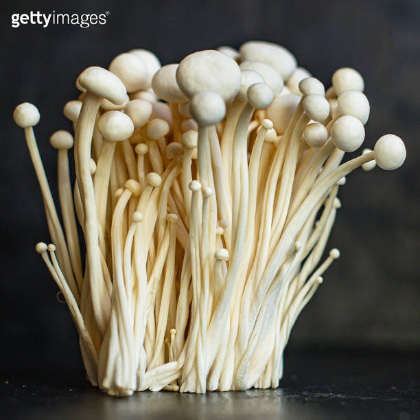 Enoki Enokitake mushrooms Flammulina velutipes edible Japanese Hot Pot cuisine Golden needle