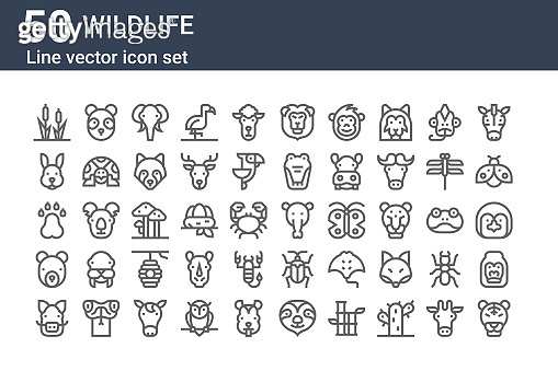set of 50 wildlife icons. outline thin line icons such as tiger, boar ...