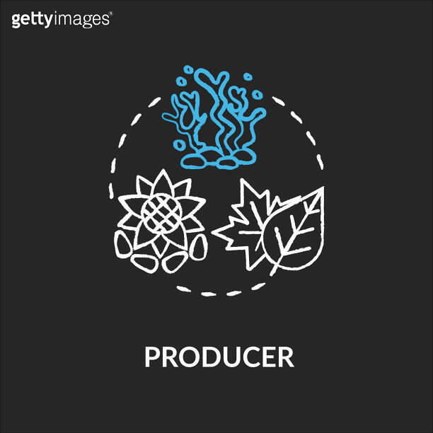 Producers chalk RGB color concept icon. Biological food chain energy ...