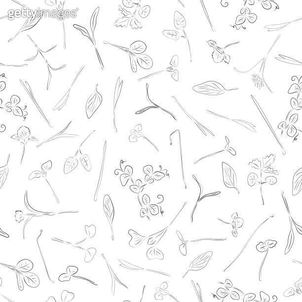 Seamless pattern micro greens. Pea, sunflower, onion, peas, corn, basil