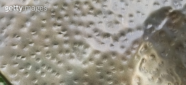 Bronze metal surface. Uneven metal texture with scratches, gouges and ...