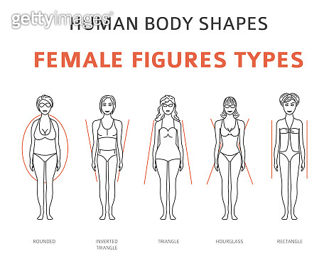 Body Fugures Human body shapes. Female figures types set. (1225048572) 일러스트, 무료 일러스트 ...