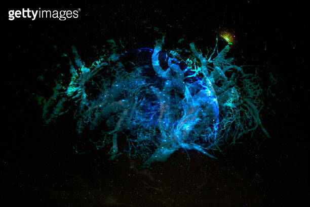 Interlaced roots shape alien planet in galaxy. Elements of this image ...