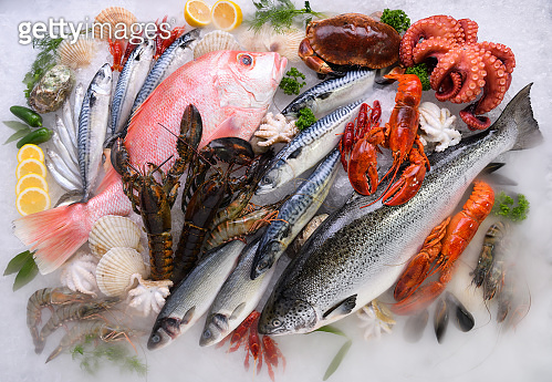 Top view of variety of fresh fish and seafood on ice with dry ice smoke ...