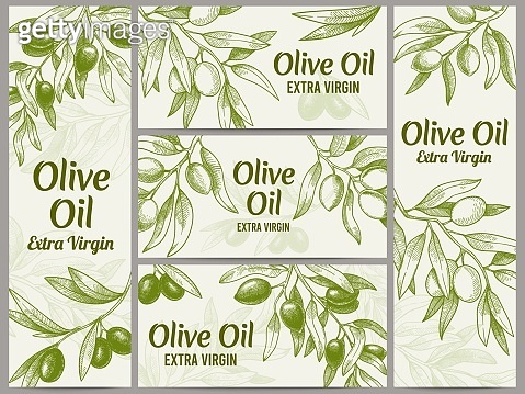 Olive oil banner. Organic oils labels, green olive branches and extra
