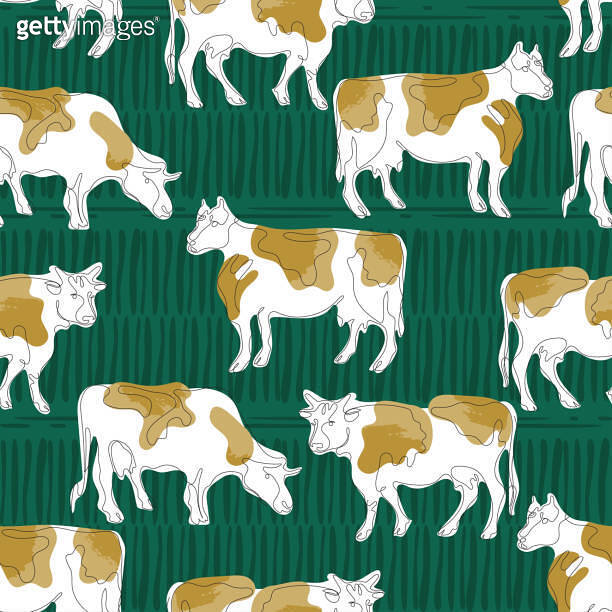 One Cow Pattern Seamless pattern with cows. Cow drawn in one line. 이미지 (1211563526 ...