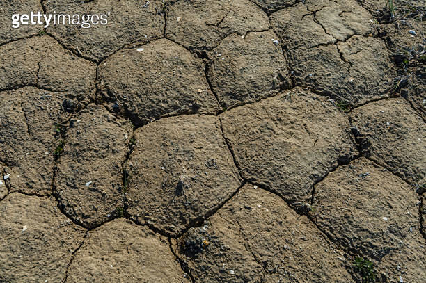 Patterned Ground, Arctic Tundra, Regular polygonal patterns, Somerset