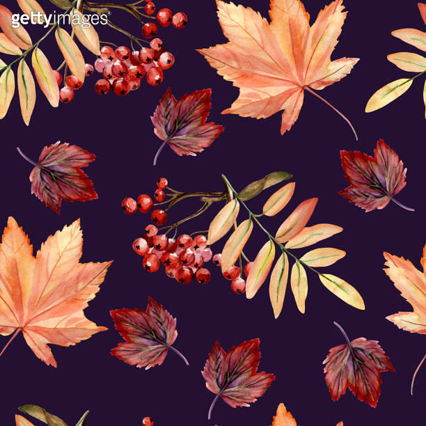 Watercolor hand painted seamless pattern with autumn leaves, rowan ...