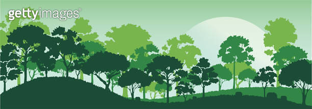 forest trees silhouettes , nature landscape background vector ...