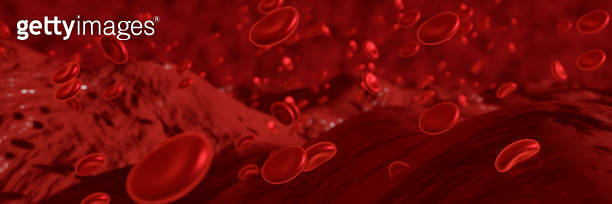 Red blood cells moving in blood vessel . 3D rendering. use for ...