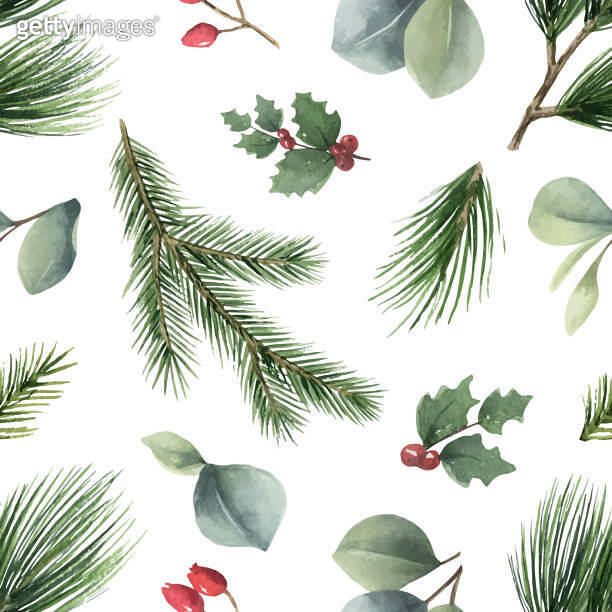 Watercolor vector Christmas seamless pattern with fir branches and ...
