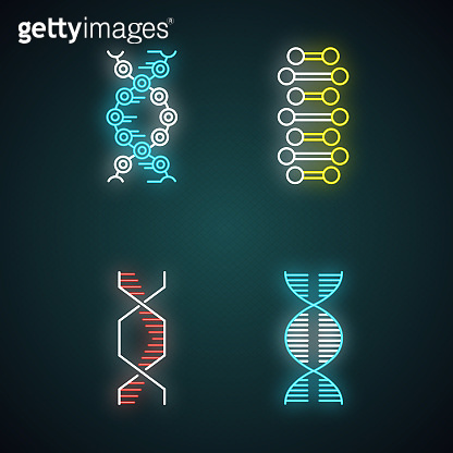 DNA spiral chains neon light icons set. Deoxyribonucleic, nucleic acid ...