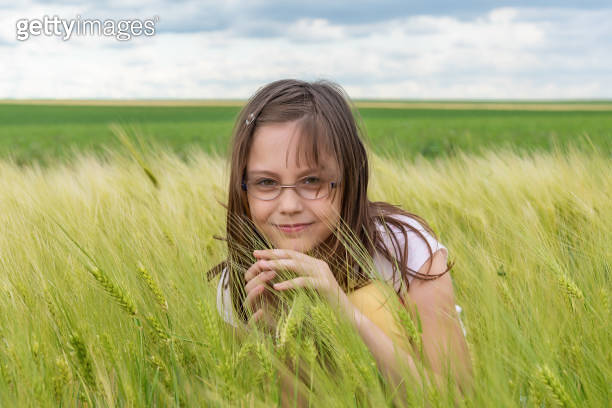 Portrait of a girl in a wheat field. Child in wheat field 이미지 ...