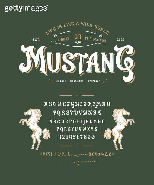 Font Mustang. Vintage typeface design 이미지 (1220853527) - 게티이미지뱅크