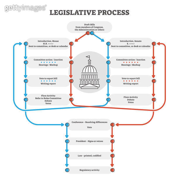 Legislative process outline diagram explanation scheme, vector ...
