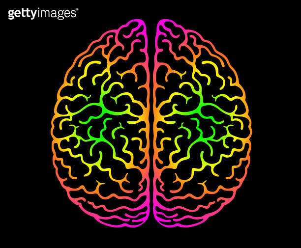 Human Brain. Bright Colors Black Background. Cerebral Hemispheres ...