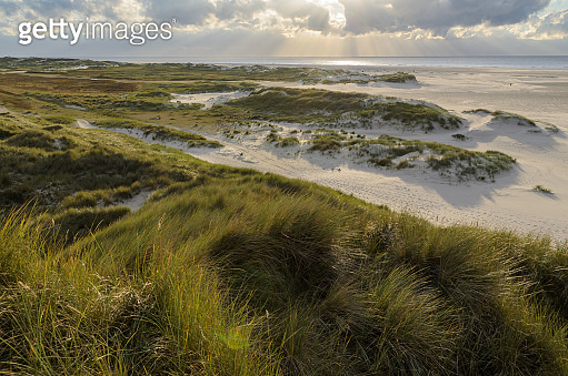 Landscape on Amrum, Germany. Amrum is one of the North Frisian Islands ...